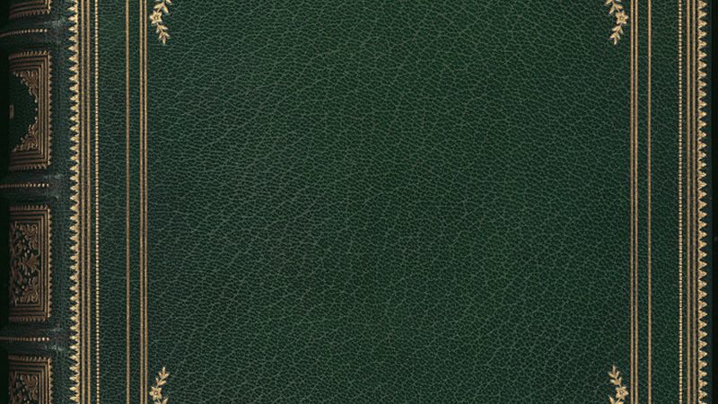 电商ERP批发定制开发流程解析：揭秘高效运营背后的秘密